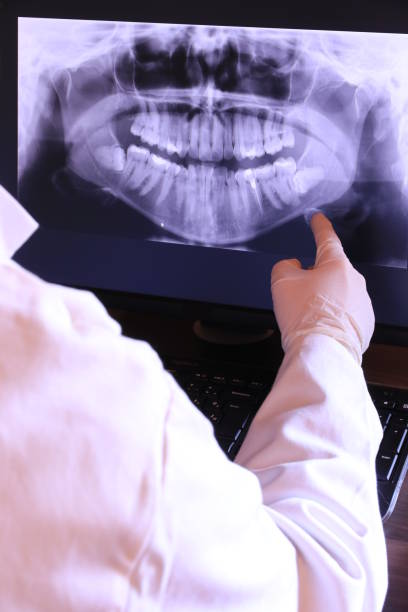 Best Emergency X-Rays and Diagnostics in Clearwater, MN